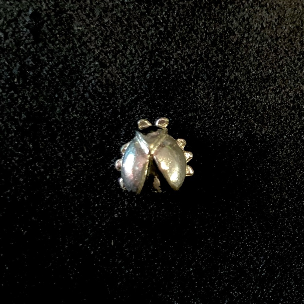 Vintage Tiny Silver Beetle Lapel Pin